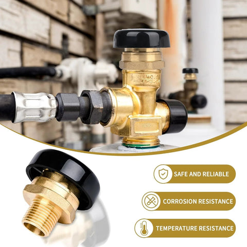 NBPLUS 1/2-in brass vacuum relief valve with black cap, low-profile vac breaker installed on water line