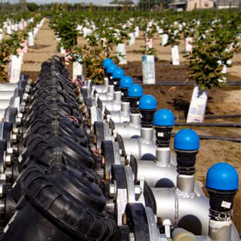 UPLYKKE 3/4 in air relief valve for irrigation, blue cap, metal body, installed along a drip irrigation line