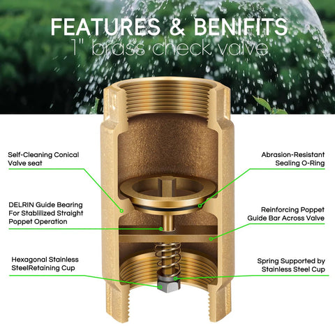 1 in brass check valve with backflow preventer; cutaway view shows spring, poppet, and O-ring; 1 in FNPT x 1 in FNPT