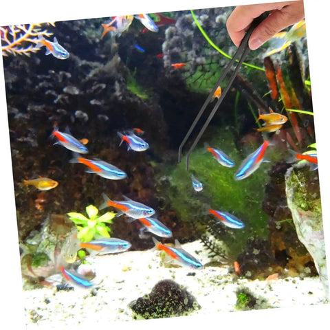Long Handle Stainless Steel Feeder Tweezers For Deep Water Feeding And Aquarium Plant Care used in fish tank with fish