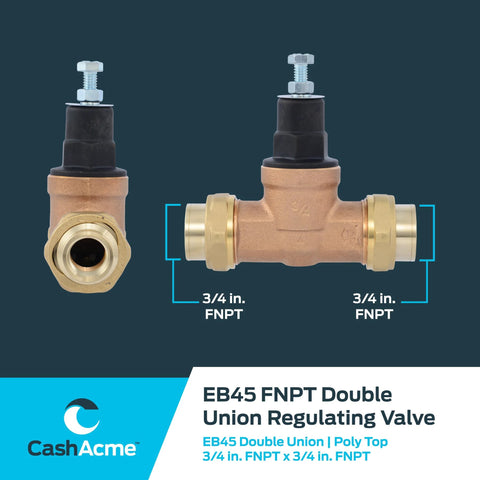 Cash Acme EB45 double-union pressure regulating valve, 3/4 in FNPT female brass body with poly top (60 PSI).