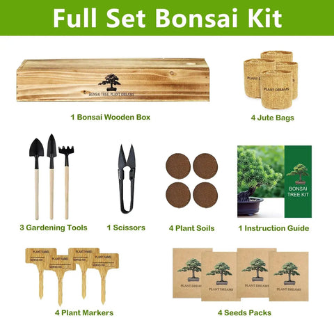 Beginner Friendly Bonsai Starter Kit With Seeds And Tools All In One Indoor Tree Growing Set For Living Plants Image showing full set with wooden box, tools, and instruction guide