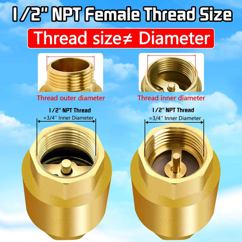 Two solid brass spring check valves with 1/2 in NPT female threads for inline water lines.