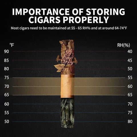 Infographic showing the importance of storing cigars properly with ideal temperature and humidity ranges.