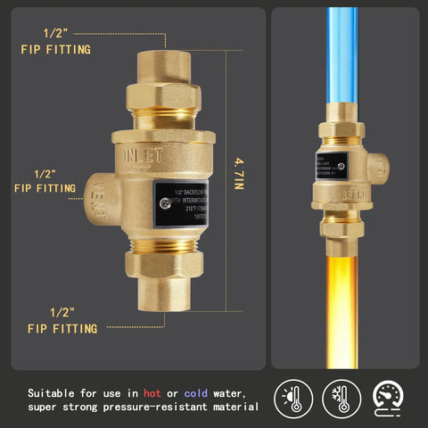 Brass 1/2-in backflow preventer with dual check valve and atmospheric vent; 1/2 in FIP fittings.