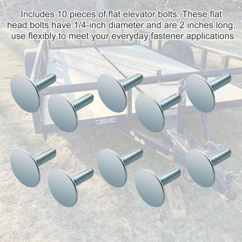Ten zinc elevator bolts with flat heads, 1/4-20 threads, 1 in length, rust resistant