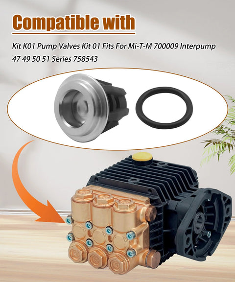 6-piece pressure washer check valve kit; copper valve block with blue screws mounted on a black pump housing and rubber O-ring