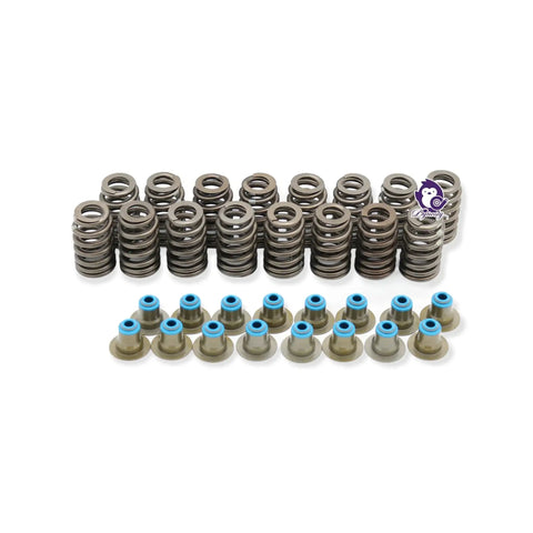Texas Speed TSP Chopacabra cam kit for LS/Vortec engines; beehive springs and seals, gray springs with blue-topped seals