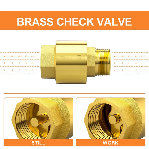 Brass check valve with 3/4 in BSP threads (DN20); female and male ends for backflow prevention; internal view.