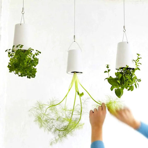 Person adjusting hanging plants secured with Eye Screws Set 581 Pcs Assorted Sizes in white pots