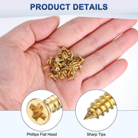 Go-To Brass Wood Screws 100 Pack M2x6mm Phillips Flat Head Self-Tapping Fasteners held in a hand showing screw details.