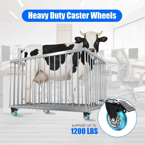 3 Inch Plate Caster Wheels Heavy Duty With Brake 1200 Lbs Set Of 4 locking 360 Degree Swivel No Noise Polyurethane blue castors shown under a cage holding a cow, demonstrating load capacity and mobility in an office setting.