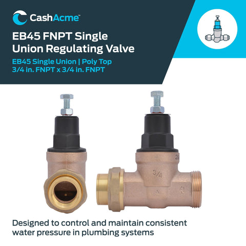 Two Cash Acme EB45 FNPT single union PRV valves, brass body, 3/4 in FNPT ends