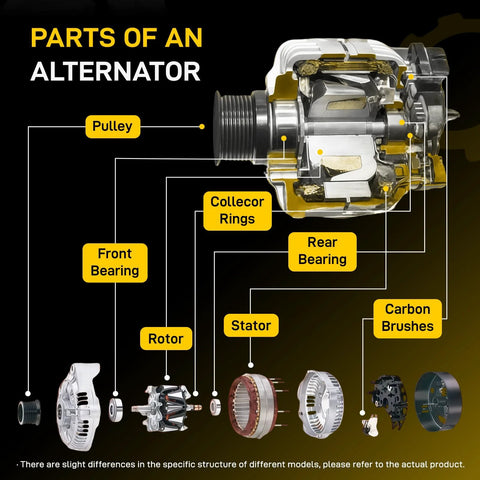 Diagram showing parts of an alternator with labels: pulley, collector rings, rotor, stator, bearings.