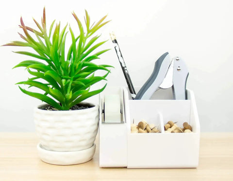 EZ Squeeze One-Hole Paper Punch Pack of 3, 10 Sheet Capacity with ergonomic grip and no jam tech in desk organizer next to plant