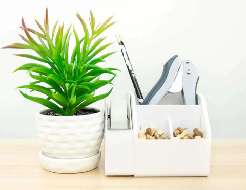 Pack Of 5 EZ Squeeze One-Hole Punch Set With 10 Sheet Capacity in organizer next to a plant on a desk