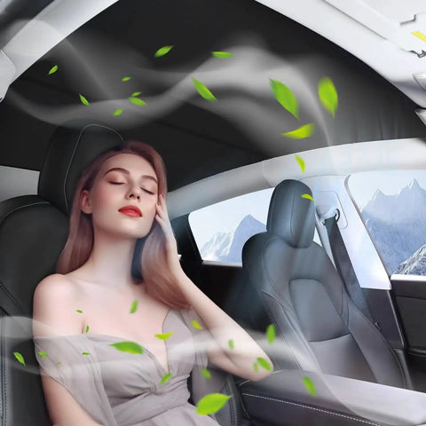 Tesla Model 3 Roof Sunshade Upgrade Full Coverage Sunroof Shade UV Protection installed inside car with seated woman