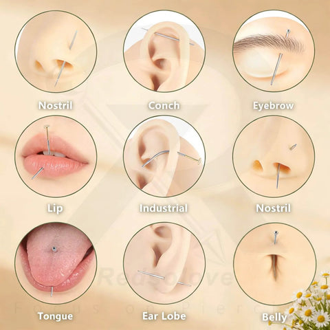 Image of various body piercings including nostril, conch, eyebrow, lip, industrial, tongue, ear lobe, and belly with piercing tapers.