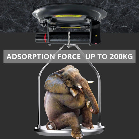 Glass suction cup demonstrating strength by lifting 200kg with a suspended elephant, highlighting heavy duty lifting capability.