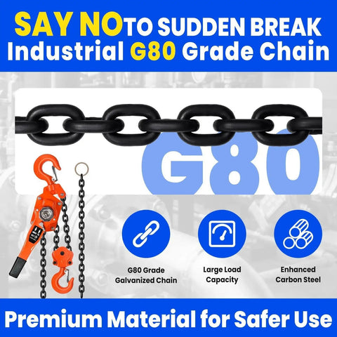 8 Ton Lever Chain Hoist With Double Pawl Brake 10 Ft Lift G80 Galvanized Steel with industrial G80 grade chain