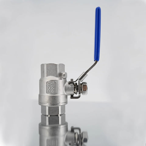 3/4 in 304 stainless steel full-port ball valve with blue vinyl handle, female x female NPT connection