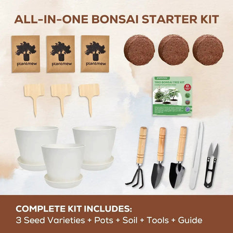 Three Bonsai Kits In One Box Beginners Indoor Growing Starter Set with tools, pots, soil, markers, and guide shown