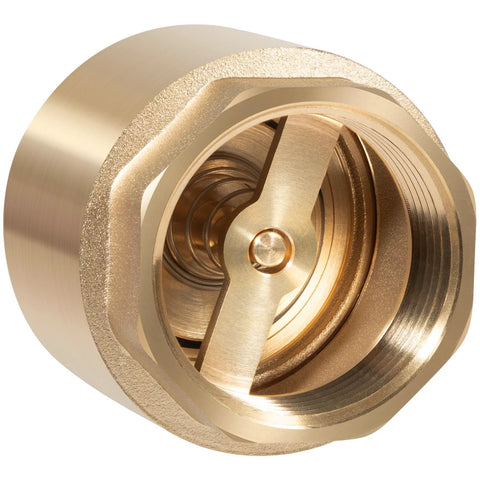 Brass one-way check valve, 1-1/4 in NPT male to 1-1/4 in FNPT outlet, with internal spring