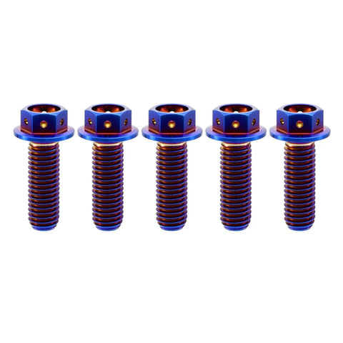 Burnt Blue Titanium Hex Head Flange Bolts M6x12mm Pack Of 5 GR5 Ti6Al4V Aviation Grade Titanium with PVD Finish