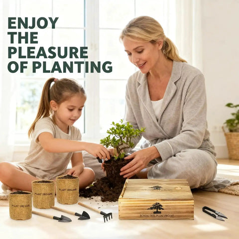 Adult and child using Beginner Bonsai Tree Starter Kit For Indoor Gardening with planters, tools, and wooden box in living room.