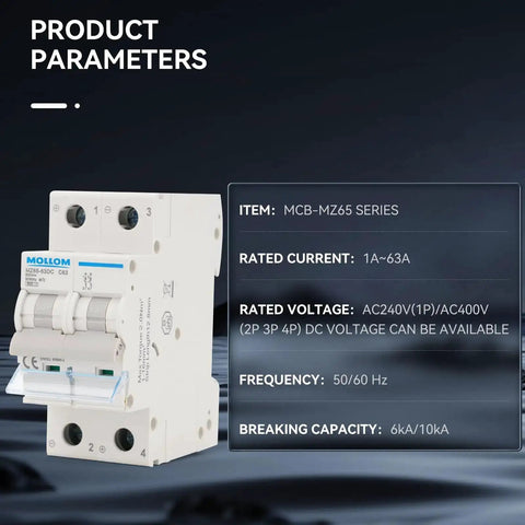 Two Pole DC Miniature Circuit Breaker 500V 25A C25 Thermal Magnetic Trip High 6kA Breaking Capacity for Solar PV Systems