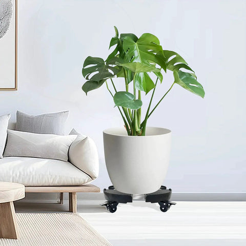 Heavy Duty Plant Caddy With Wheels 440 lb capacity holding a large potted plant in a living room setting.