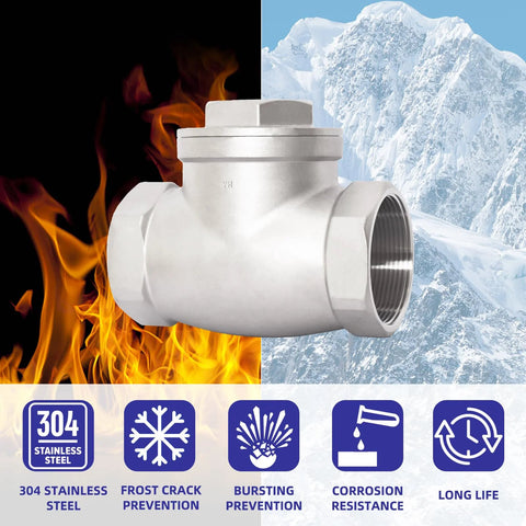 3/4 in NPT stainless steel swing check valve for horizontal piping, Amazon BISS.