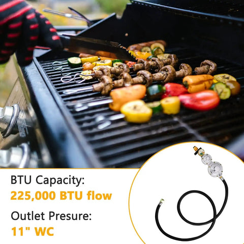 Grilling vegetables with Two Stage Propane Regulator With Five Foot Hose And Gauge POL Tank Connection near BBQ