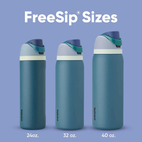 FreeSip Insulated Stainless Steel Water Bottle With Straw And Locking Push Button Lid BPA Free Sports Bottle Sizes 24oz 32oz 40oz