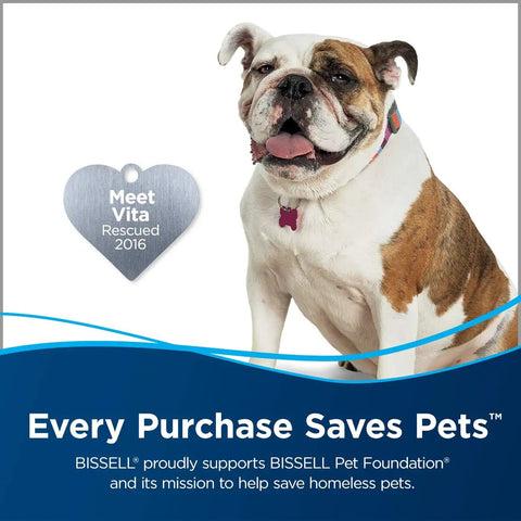 A rescued Bulldog named Vita posing with a name tag, highlighting BISSELL's support for pet adoption.