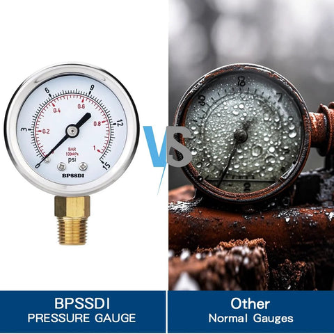 BPSSDI pressure gauge, 2.5-inch dial, 304 stainless steel case, 1/4'' NPT lower mount, two gauges shown.