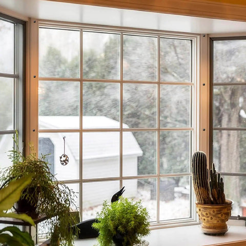 Bright interior window view with snowy outdoor scene and indoor potted plants on the sill