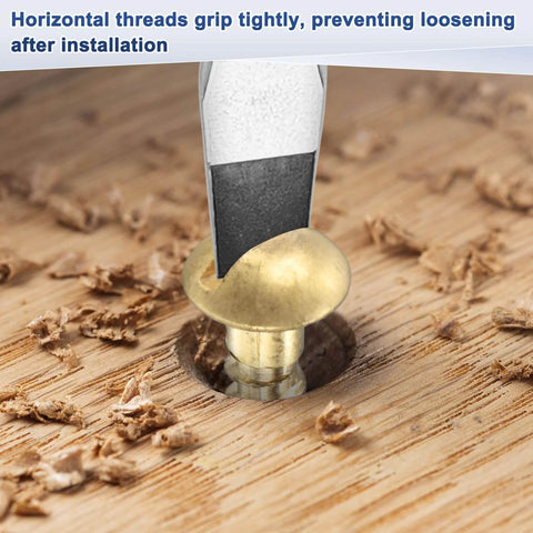 Close-up of M METERXITY 20-Pack Wood Screws, M3 x 18mm Brass Slotted Round Head Self-Tapping Screw inserted in wood