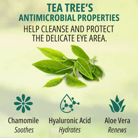 Graphic showing Tea Tree's antimicrobial properties with chamomile, hyaluronic acid, and aloe benefits for eyelid care.