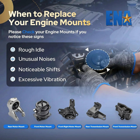 Honda Odyssey Engine And Transmission Mount Set Of Five For 1999 2000 2001 2002 2003 2004 3.5L V6 Replacement Front Hydraulic Mount Kit image showing engine and mounts