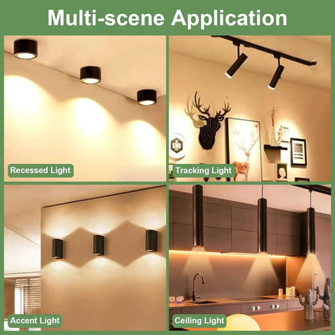 Various lighting applications including recessed, track, accent, and ceiling lights in a home setting.