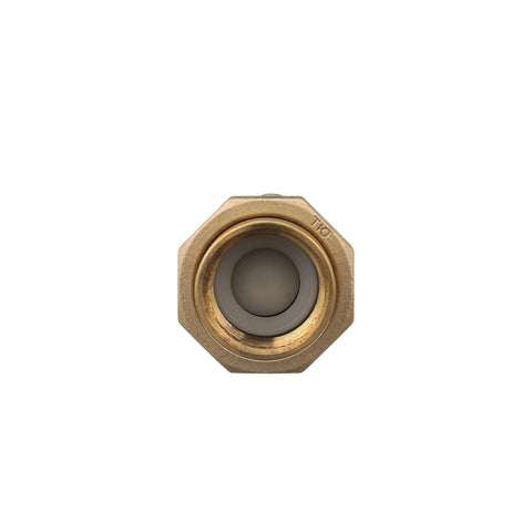 Brass Zurn Wilkins 700XL dual check valve, 1 in. female union inlet x 1 in. female outlet, front view