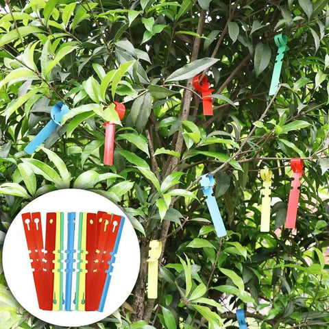 Garden Grafting Tool Kit 2 In 1 Pruning And Grafting Set With Replacement Blades on tree branches