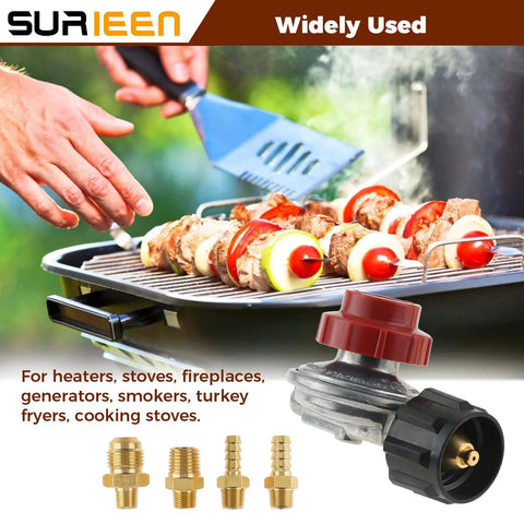 0 To 20 PSI Adjustable Propane Regulator Valve Kit With QCC1, shown near grill with skewers and flare fittings