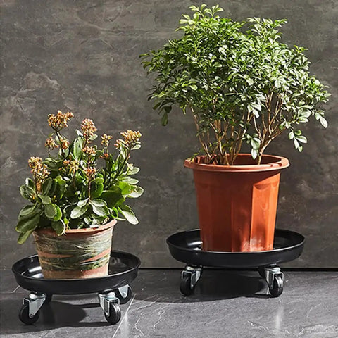 10 Inch Heavy Duty Plant Dolly With Wheels, 160 Lbs Capacity Metal Rolling Plant Stand With Casters, holding potted plants