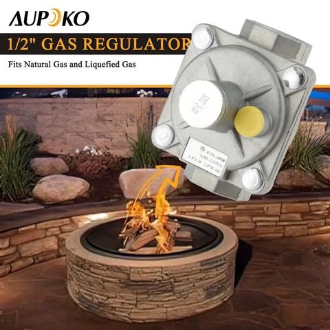 Half Inch Gas Pressure Regulator For Natural Gas And LPG Interchange With Two Brass Half Inch NPT Adapters; outdoor fire pit background