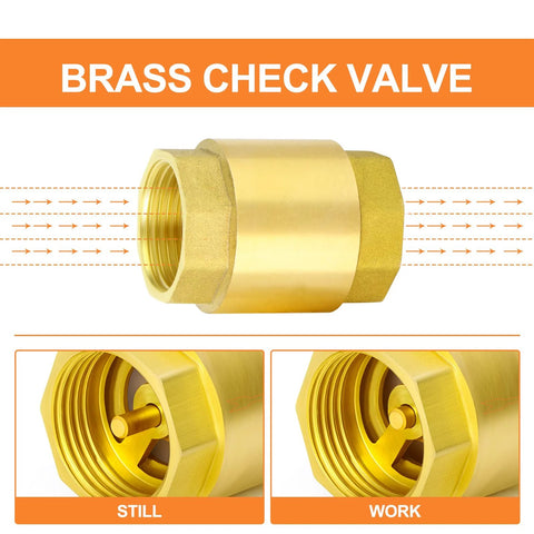 Brass check valve, front view, 1-inch female threaded, 2-pack, backflow prevention, one-way valve