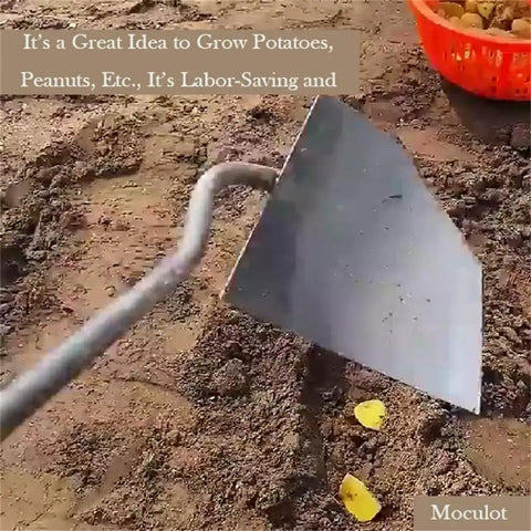Soil Turning Hoe Triangle Garden Tool Head Only For Weeding Planting Digging Manuring Ridging Leveling And Landscaping Hardened All Steel Plow Hoe With Bronze Finish Heavy Duty Garden Cultivator For Year Round Yard Work in soil field