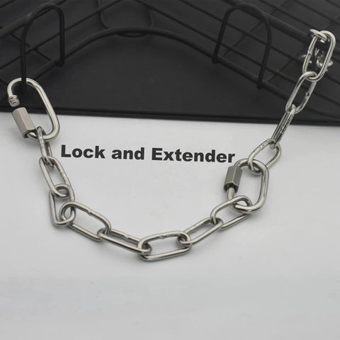 304 Stainless Steel Chain 1/8 Inch By 5 Feet With Welded Closed Links And Locking Carabiners on black background