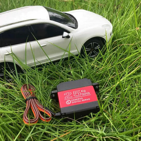Beefy 25Kg RC Digital Servo With Full Metal Gear Waterproof 180 Degree Control Angle DS3225MG and white RC car in grass